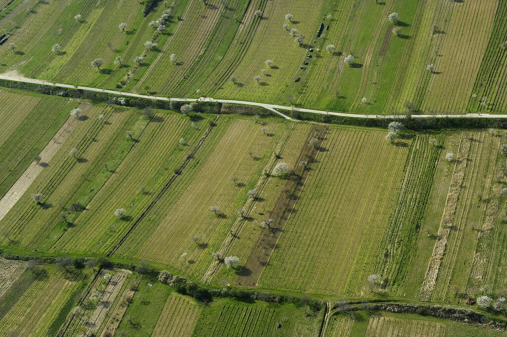 Im Frühling erstrahlt die weiße Blütenpracht der Kirschbäume in den Weingärten rund um Donnerskirchen. © Archiv Naturpark Neusiedler See – Leithagebirge Im Frühling erstrahlt die weiße Blütenpracht der Kirschbäume in den Weingärten rund um Donnerskirchen.