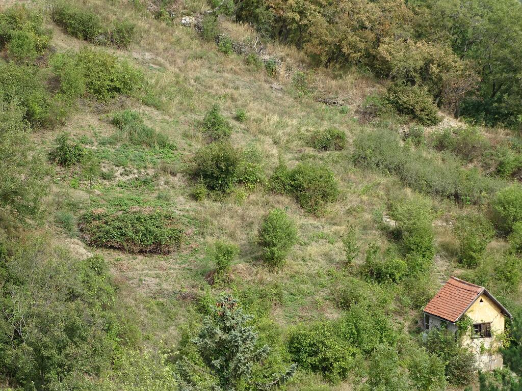Biodiversitäts-Hotspot in Döbling © Heimo Schedl Biodiversitäts-Hotspot in Döbling