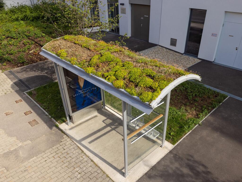 Biotopvernetzung in der Stadt: belebte Haltestellendächer. 