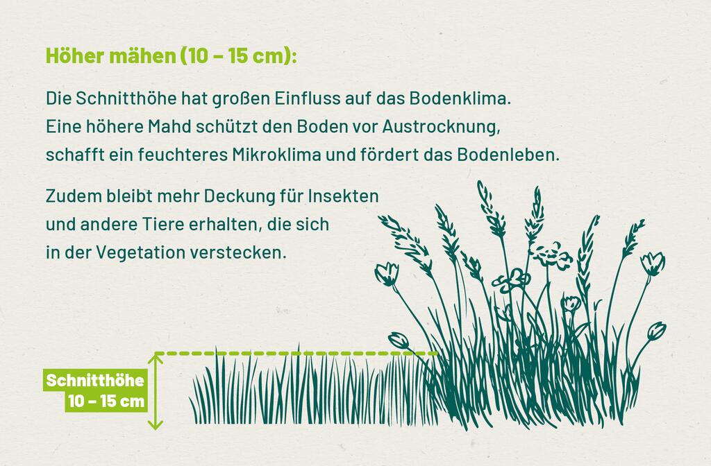 Schritt 3 Halbe halbe Mähen
