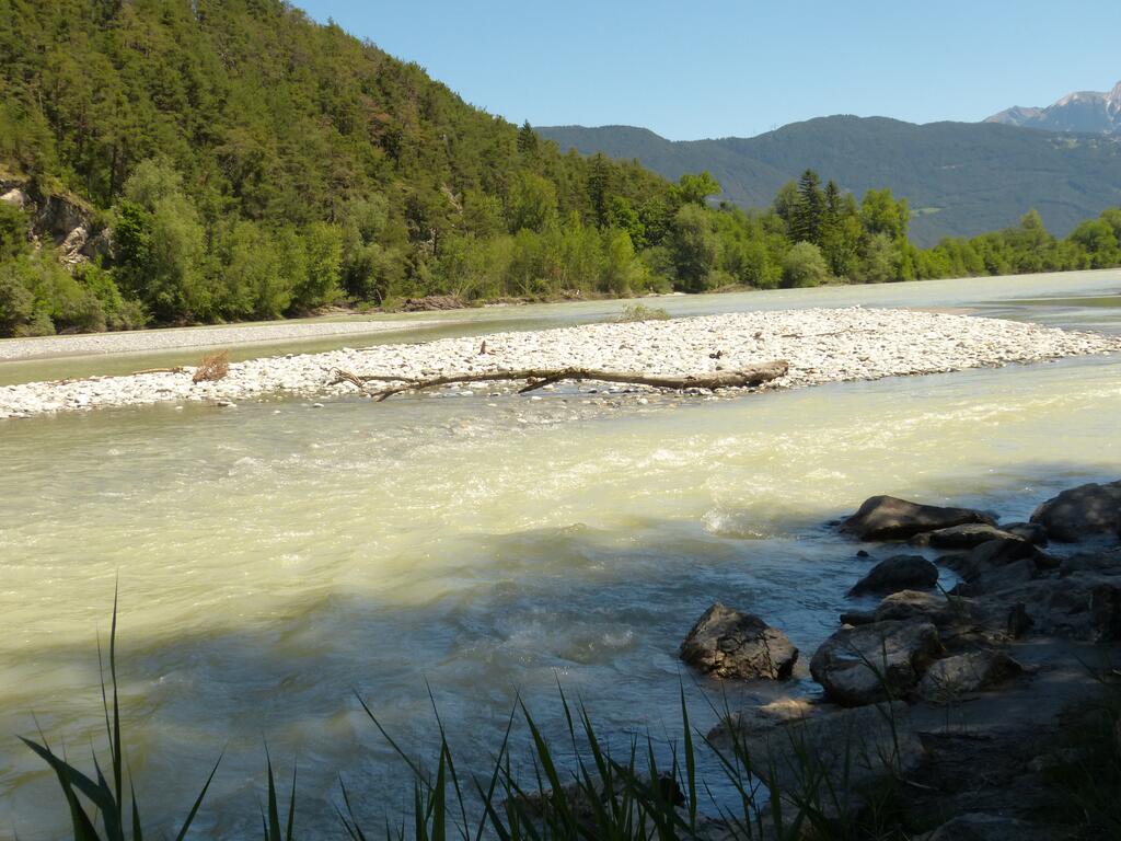 Lebensraum Flussuferläufer © Katharina Bergmüller Lebensraum Flussuferläufer