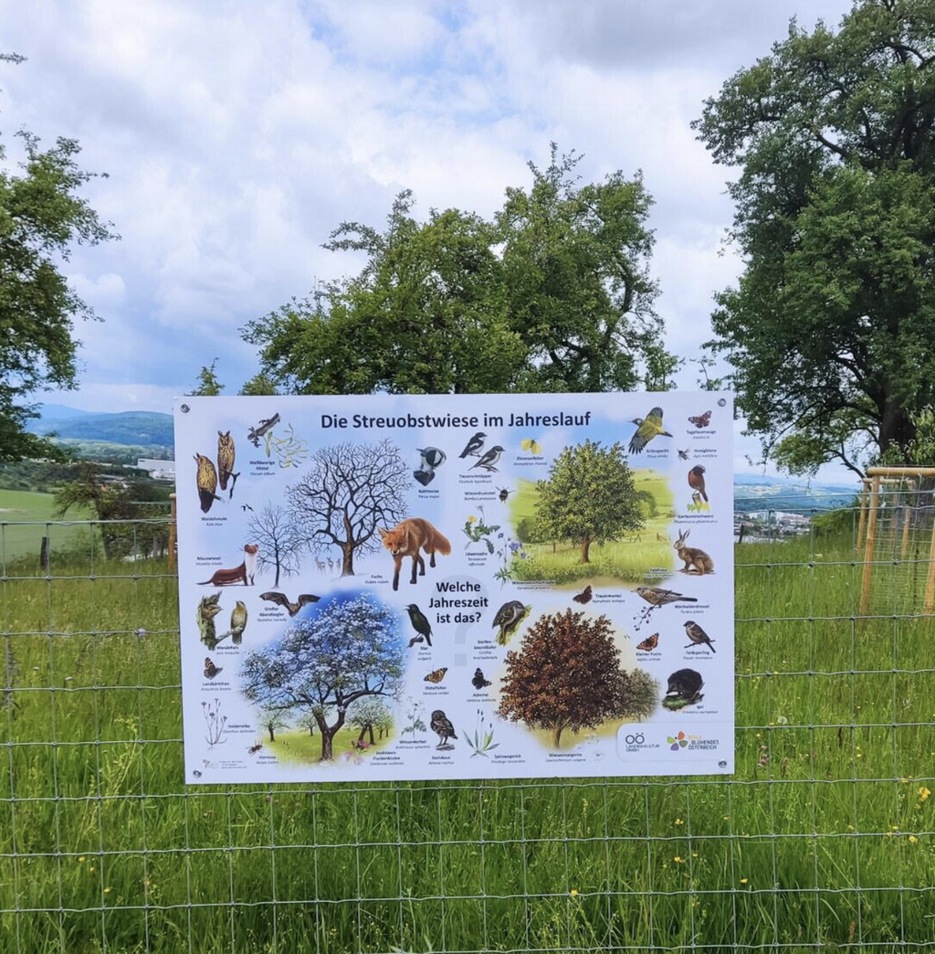 © Sumerauerhof Biodiversitätslehrpfad