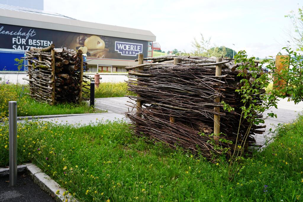 Bestriebsgelände ökologisch gestaltet © Woerle Zwei Benjeshecken auf einer Wiese dahinter ein Gewerbegebäude
