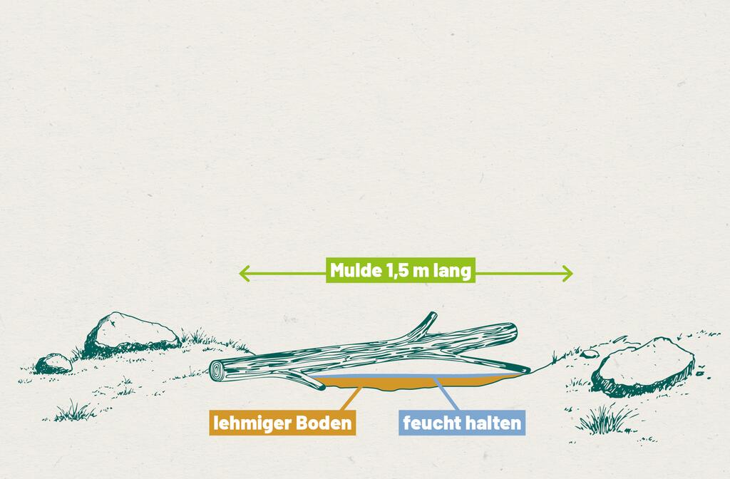 Skizze Mulde ausheben © Agentur Schreibeis Eine Skizze wie man eine Schwalbenlacke baut