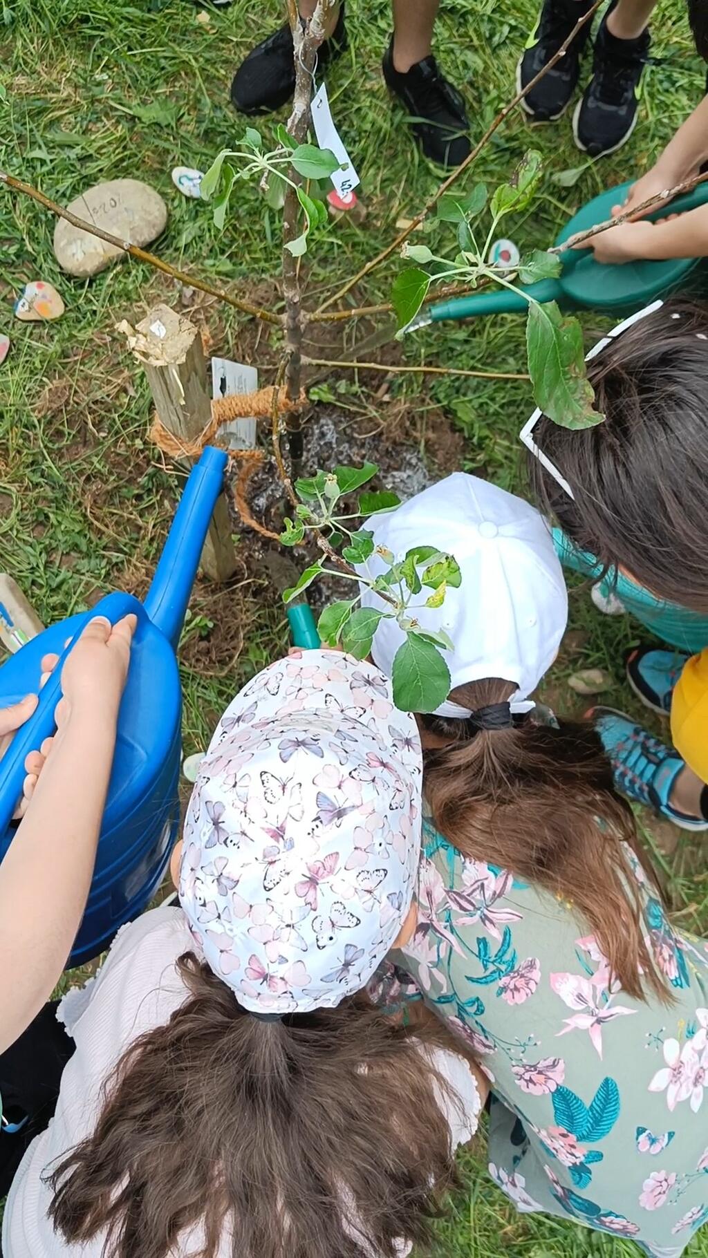 Obstbäumchen in Spe: frisch gesetzt und schon gegossen © ObstStadt Wien Obstbäumchen in Spe: frisch gesetzt und schon gegossen