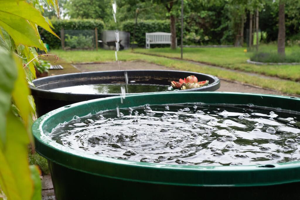 Wasser Sammeln in einer Regentonne