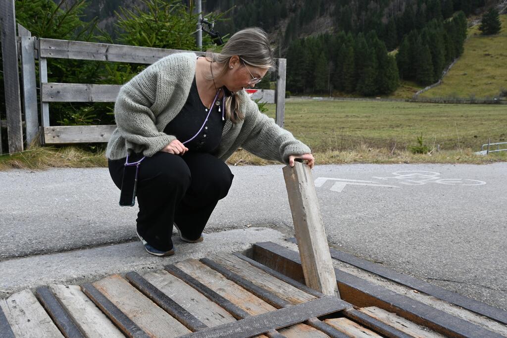 Frau macht Weiderost zu mit Holzpfählen