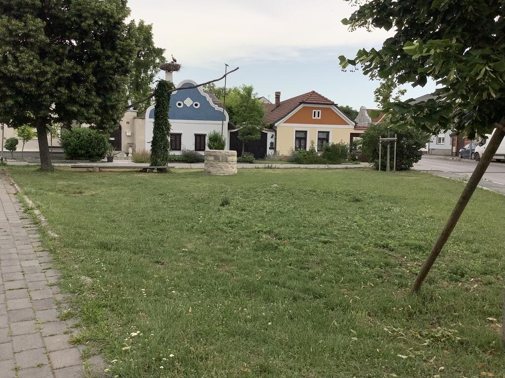 Rasenfläche vor dem Hufnagelhaus in Apetlon