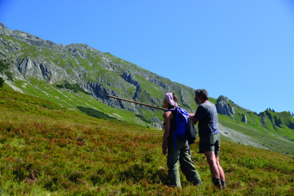Alpe