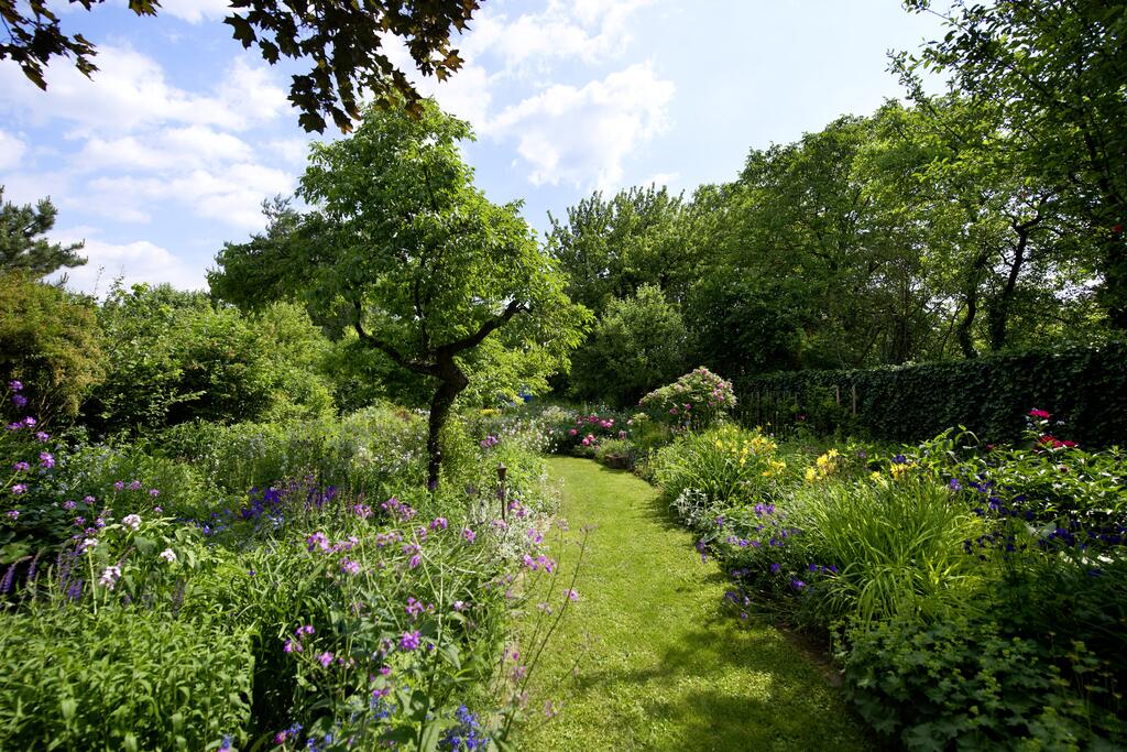Garten mit bunten Blumen