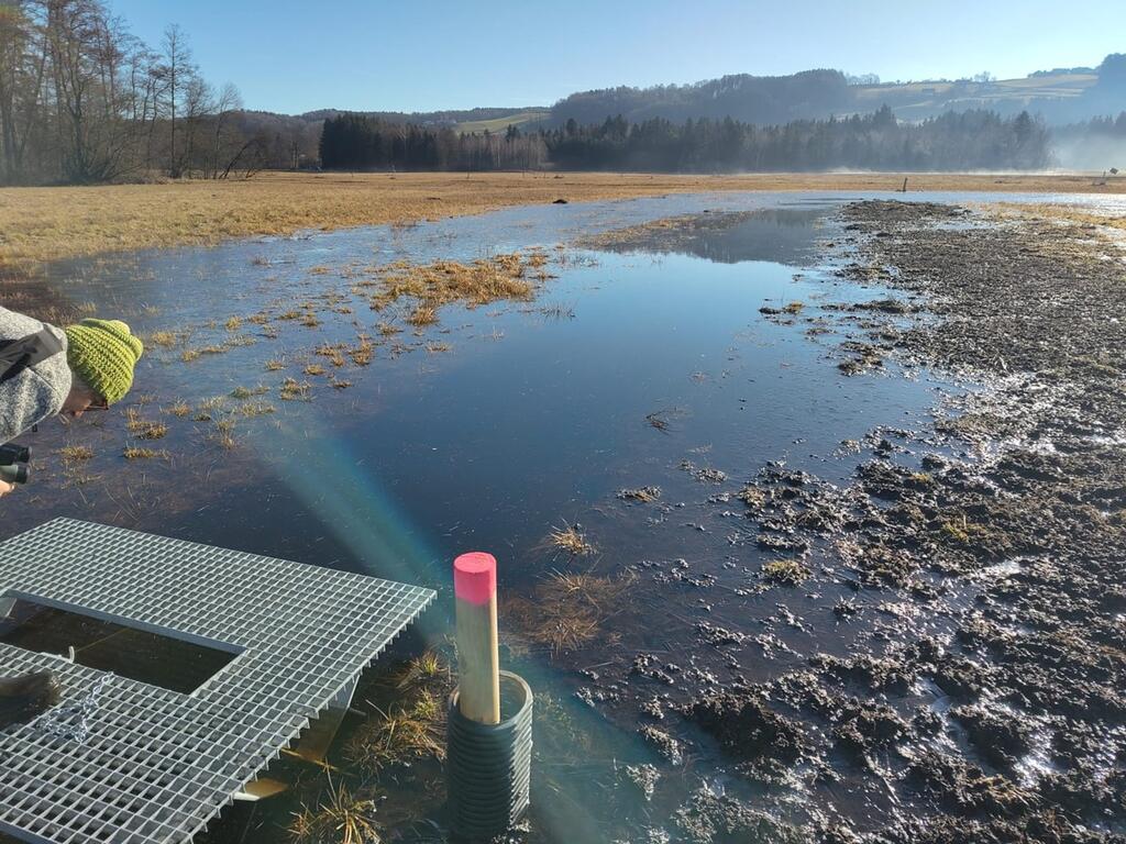 Moorlandschaft