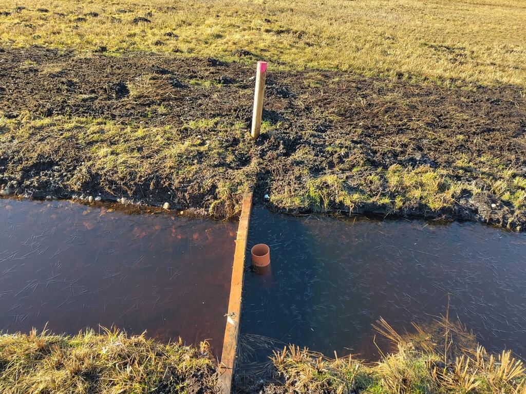  Drainage: Stopsel- Holzpfahl in einer feuchten Wiese dient zur Wasserregulierung
