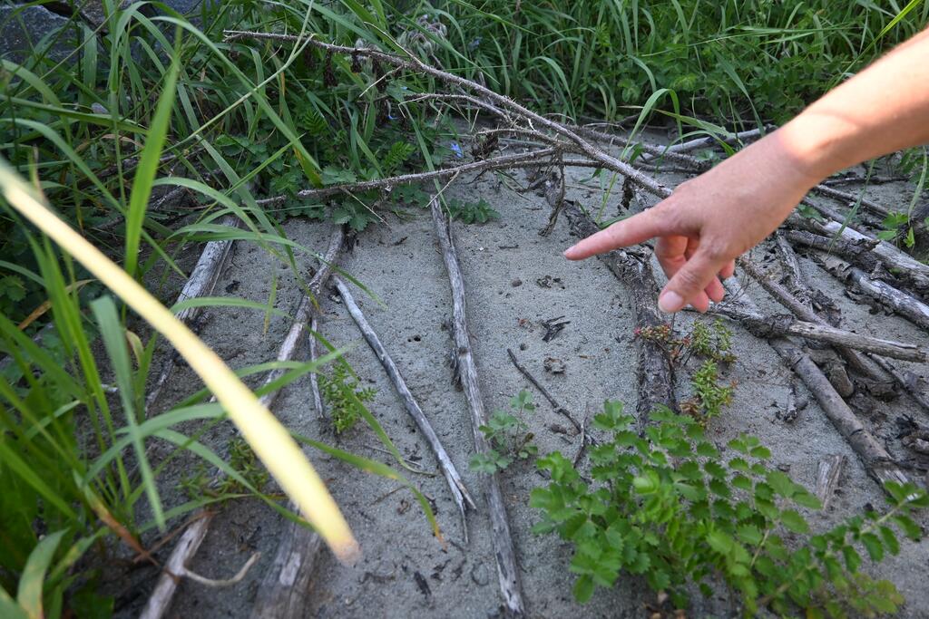 Eine Hand zeigt auf eine offene Sandfläche zwischen Gräsern und Totholz. -ein wichtiger Lebensraum für wärmeliebende Insekten und Wildbienen.