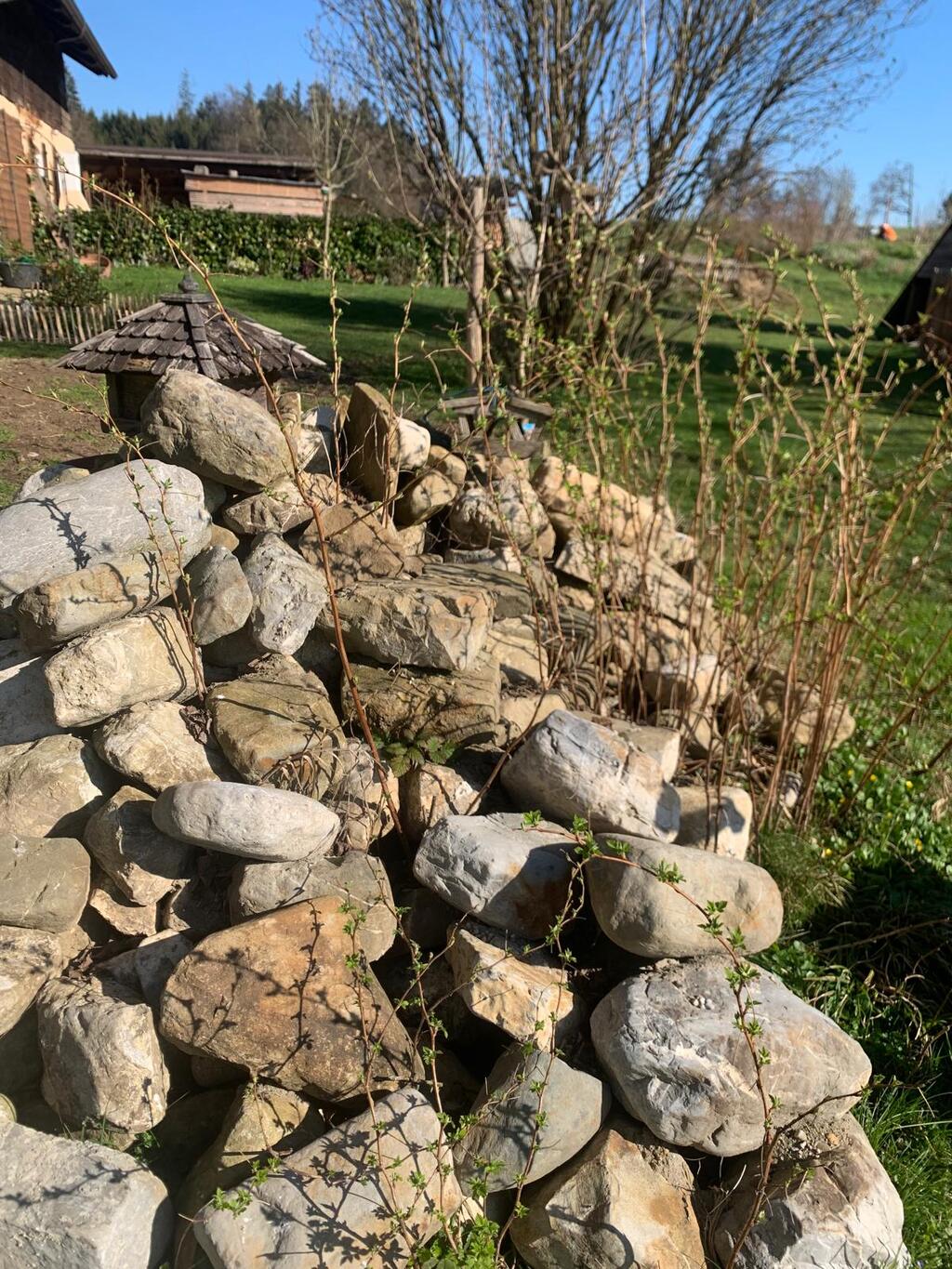 Eine trocken geschichtete Steinmauer aus naturbelassenen Findlingen in einem Garten.