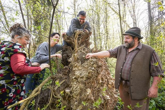 im-waldkammergut-c-daniela-stockinger-1.jpg © daniela-stockinger-1 im waldkammergut