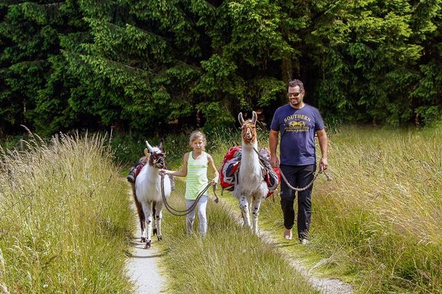 lama expedition durch das muehlviertel