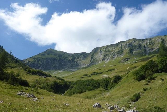 Nature-Watch-Moosenalm-c-Naturpark-Karwendel-S.Sturn.jpg © Naturpark-Karwendel-S.Sturn Nature Watch Moosenalm