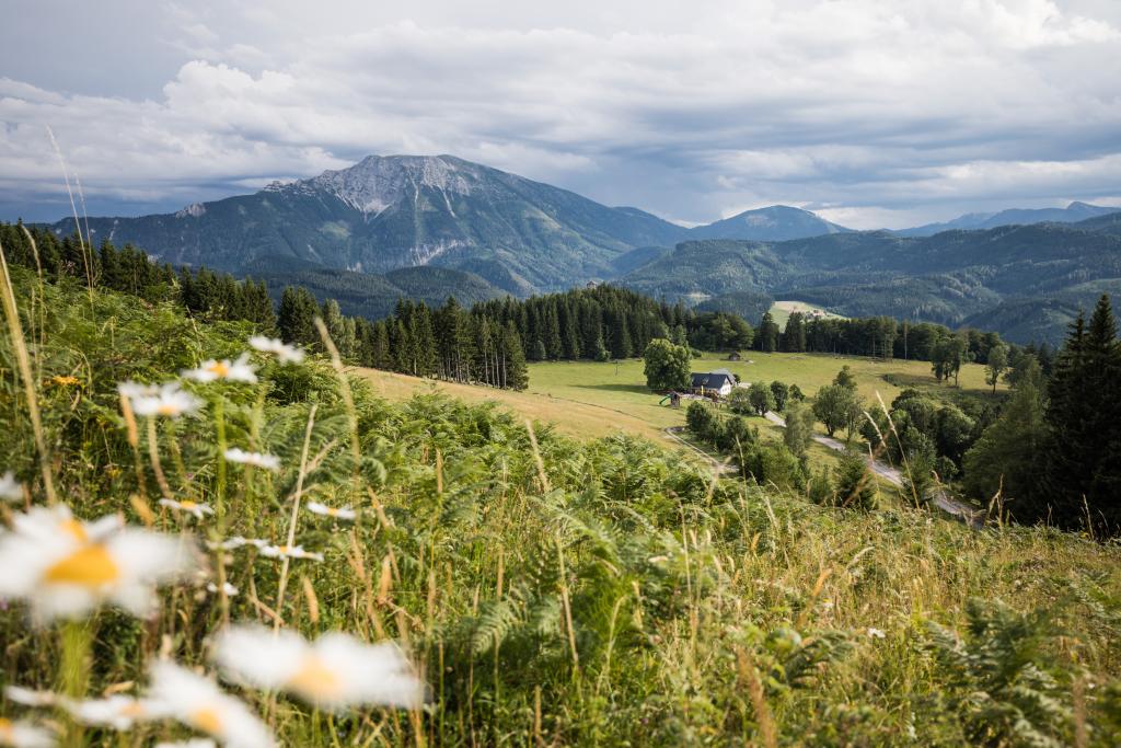 NuP Ötscher-Kranawittn_c_Fred Lindmoser.jpg © Fred Lindmoser Aussicht von einer Bergwiese