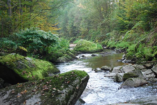 Naarntal © Naturpark Mühlviertel-BarbaraDerntl Naarntal