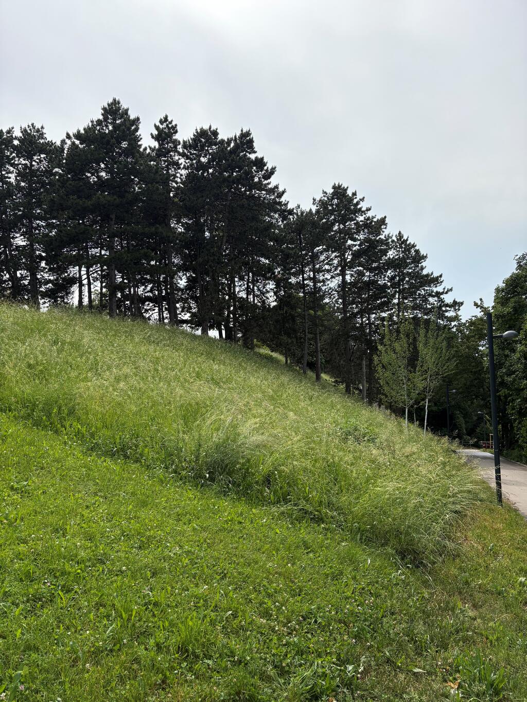 Hugo Wolf Park