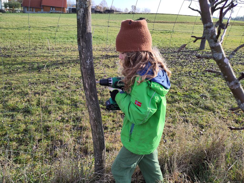 Mein Sohn war ganz begeistert von der Idee und hat gleich fleißig gebohrt. 