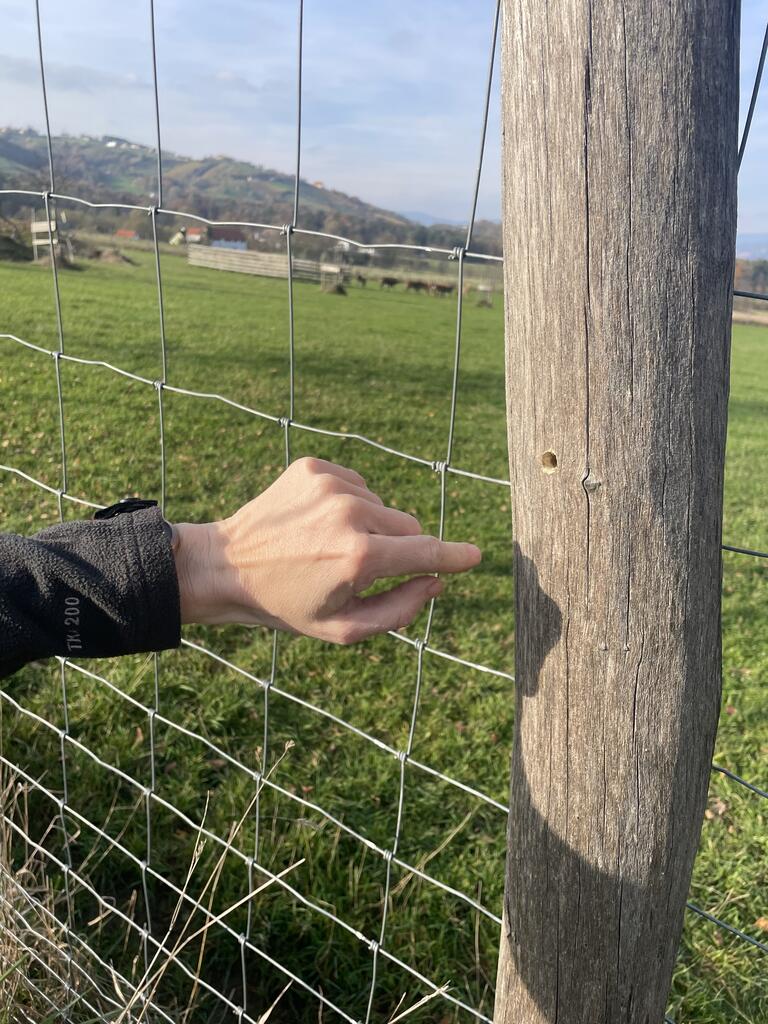 Da draußen gibt es viele Wildbienen, die einen Nistplatz suchen. Jetzt entsteht mit Bohrlöchern ein idealer Nist- und Überwinterungsplatz!