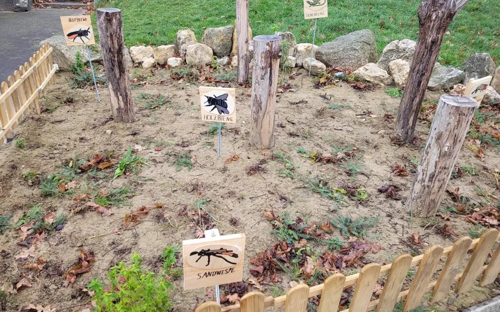 Ein Sandarium ist ein wichtiger Nistplatz für Wildbienen, Grabwespen und andere Insekten. Dazu reicht lehmiger Sand mit etwa 50cm Tiefe.