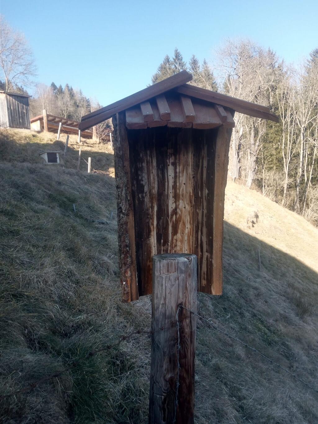 Aus einem Reststück eines hohlen Stammes ist ein Quartier für Wildbienen entstanden. 