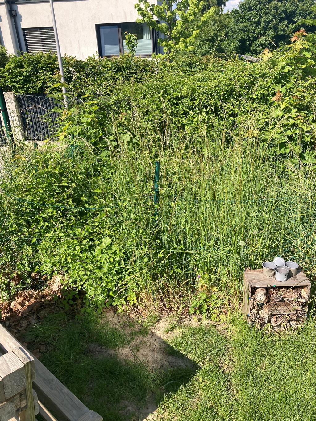 Wildes Eck im Kindergarten