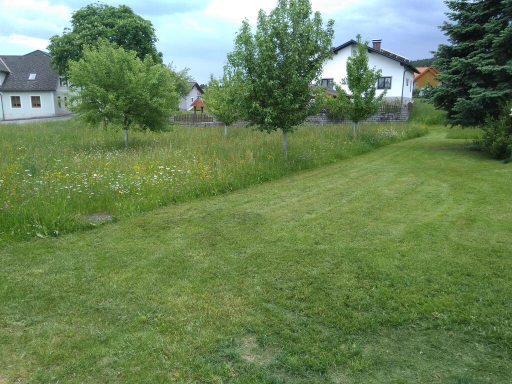 Grasstreifen im Garten