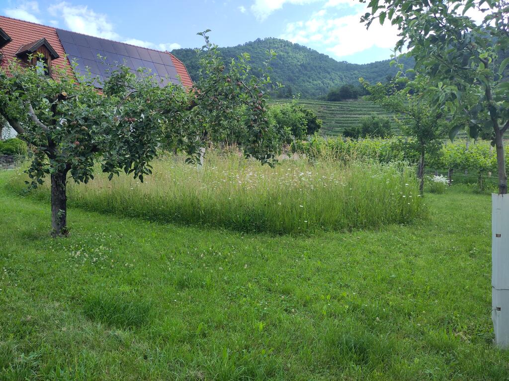 Halbe Halbe Mähen geht super im Garten!