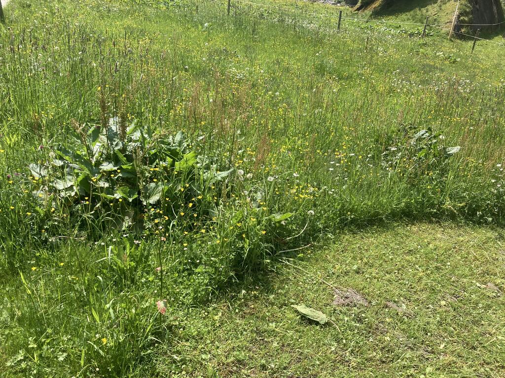 Hochgebirgs-Naturpark Zillertaler Alpen 