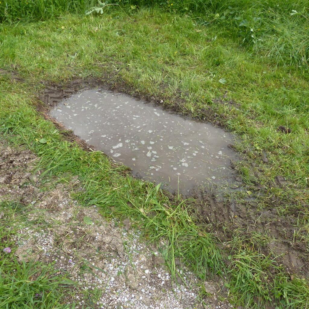 Schwalbenlacke