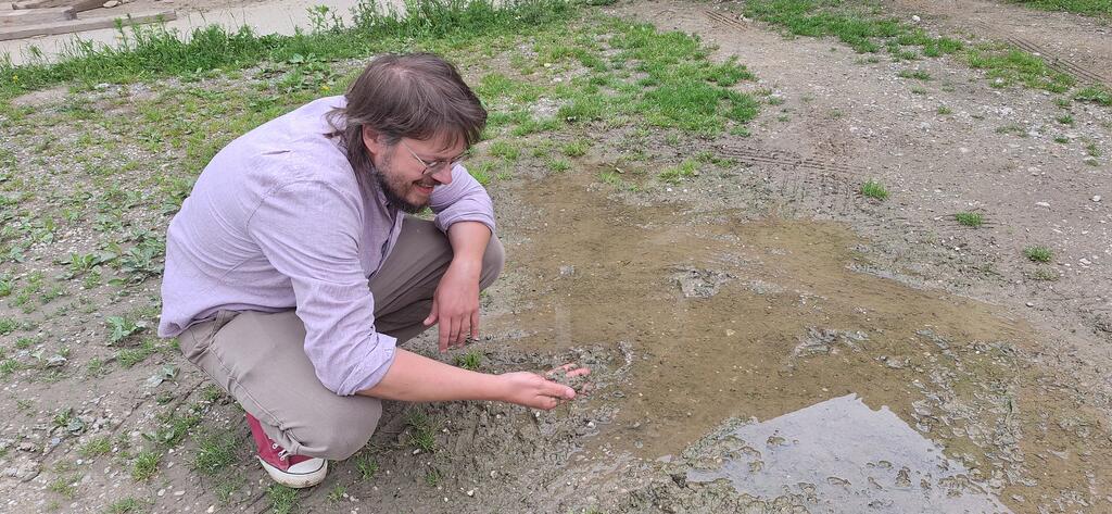 Immer wenn es trocken ist, lässt mein Vater Wasser in die Lacke, damit die Schwalben was zum saufen haben. 