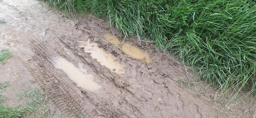 Der Weg wird nicht asphaltiert, damit der Gatsch für die Schwalben bleibt!
