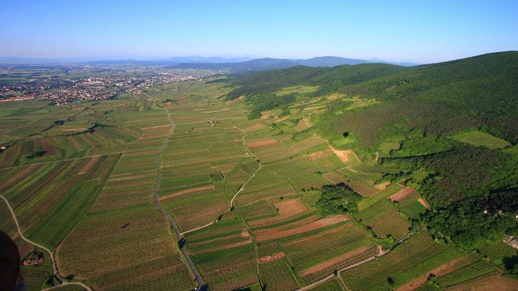 Landschaftsaufnahme aus der Luft: die Thermenline bei Pfaffstätten, am Übergang zwischen den Ausläufern der Hügel des Wienerwaldes zur pannonischen Tiefebene