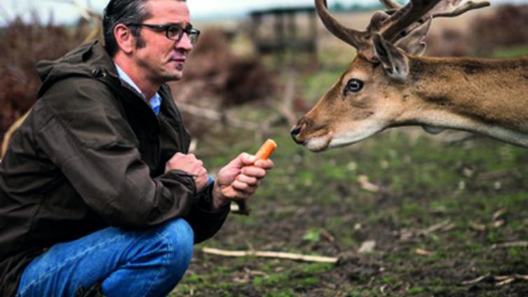 Hannes Wiesmayer und sein Wild © Wiesmayer kniender Mann vor einem Hirsch