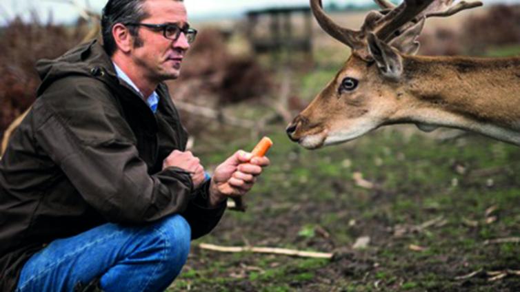 kniender Mann vor einem Hirsch