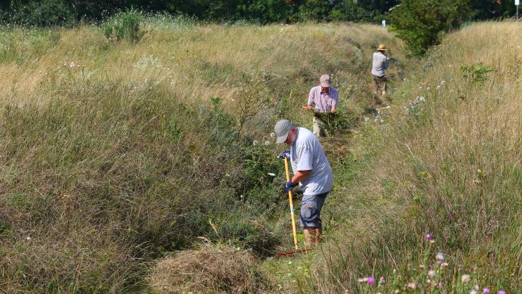 Der Hohlweg am Johannesberg in Wien gehört zu den TOP-Biodiversitätsflächen in Wien und Umgebung. © Landschaftspflegeverein Thermenlinie-Wienerwald-Wiener Becken Der Hohlweg am Johannesberg in Wien.