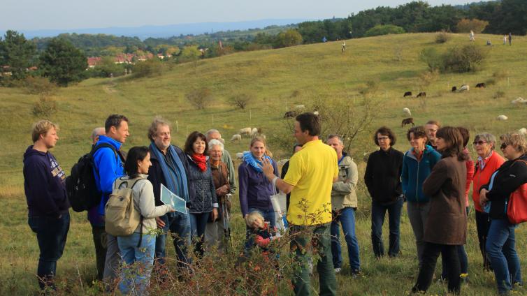 Führung zu den Tieren und Pflanzen der Perchtoldsdorfer Heide © Freunde der Perchtoldsdorfer Heide Heideführung