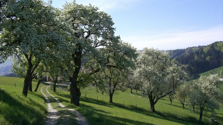 Rundwanderung Eschenau