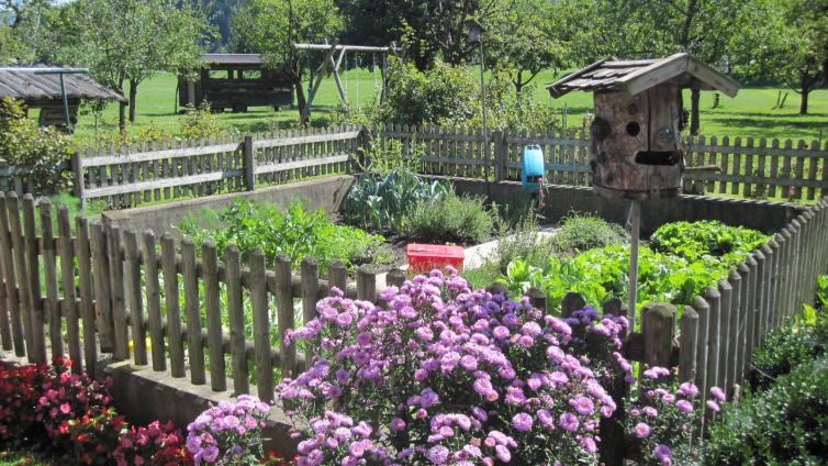 Zertifikatslehrgang Die Gartenbäuerin © LFI NÖ Zertifikatslehrgang Die Gartenbäuerin