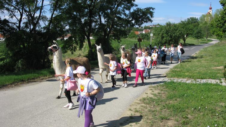 Mit Exoten an der Leine die Natur Erleben © Familie Striok Lamawanderung