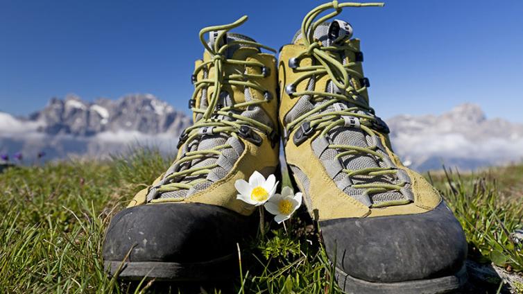 Wanderführer Grundmodul © Uwe Grinzinger Bergschuhe in den Bergen