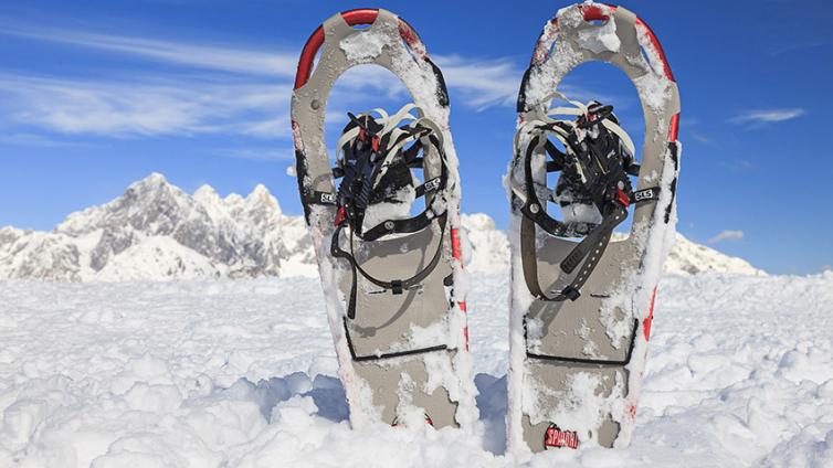 Wanderführer-Wintermodul (Schneeschuhwandern) © Uwe Grinzinger Schneeschuhe im Wintergebirge