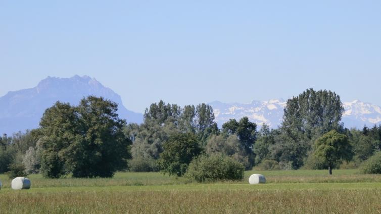 Landwirtschaftsfläche, Streuewiese, Siloballen im Hintergrund Gehölze und Berge