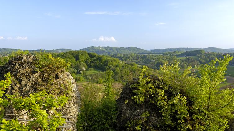 Moorwanderung