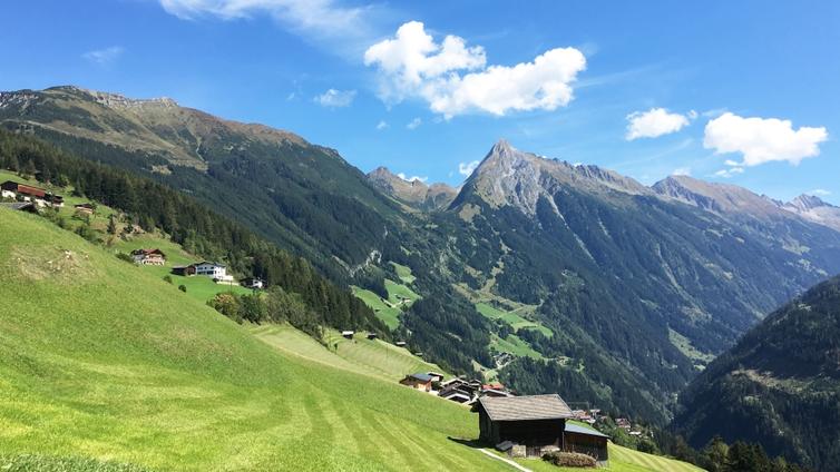 Blick auf den Kolm