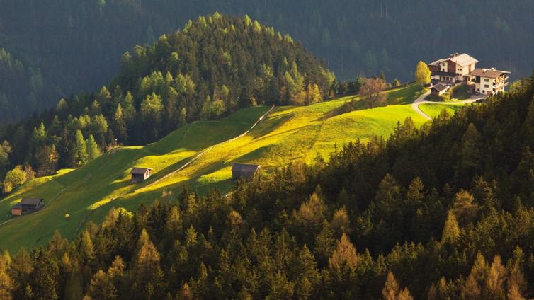 Bergwiesen beim Gasthaus Steinerkogel © Hochgebirgsnaturpark Zillertaler Alpen Bergwiesen beim Gasthaus Steinerkogel