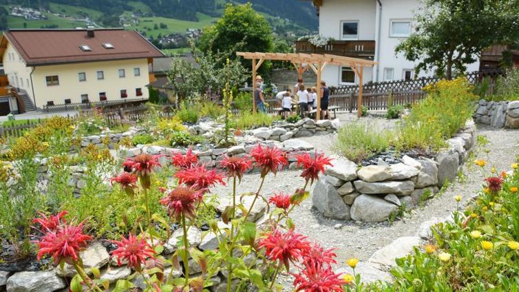 Blütenmeer im Kräutergachtl © Katharina Weiskopf Blütenmeer im Kräutergachtl